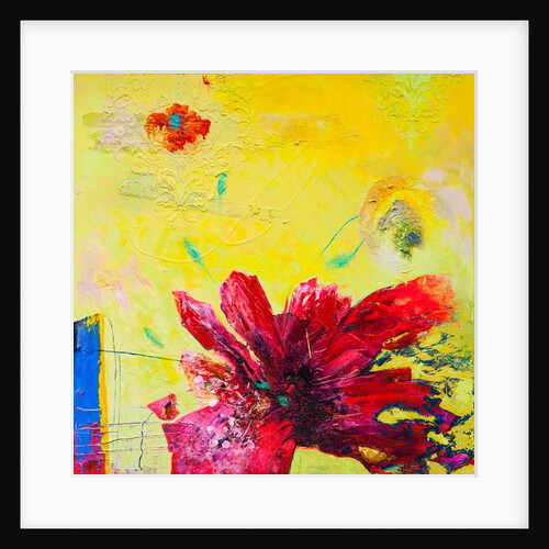 Burst, 2012 by Frances Ferdinands