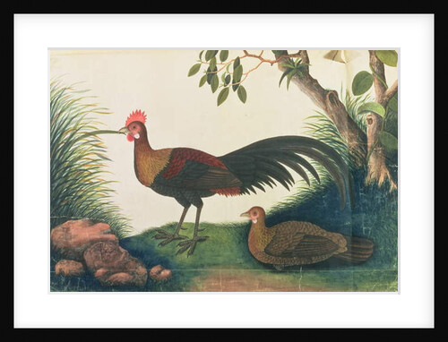 Poultry by School Chinese