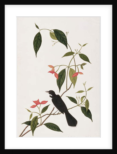 Booring Janke-chee Gutah by School Chinese