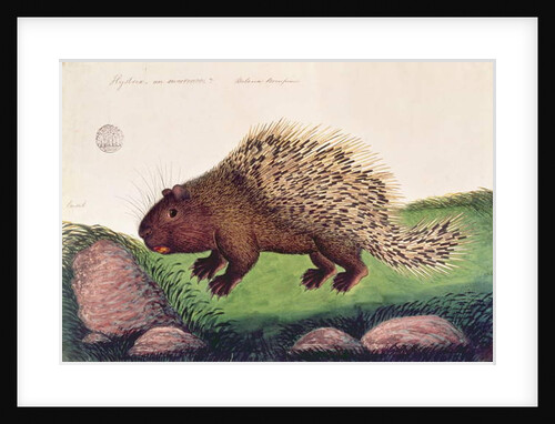 Dammai Batoo by School Chinese