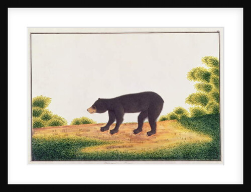 Bear, Broo-ang by School Chinese
