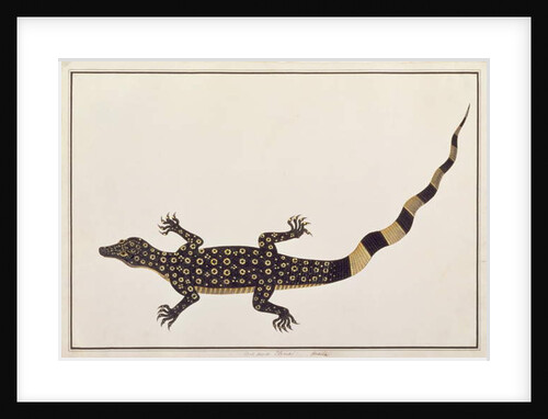 Guana, Bie awa Tana by School Chinese