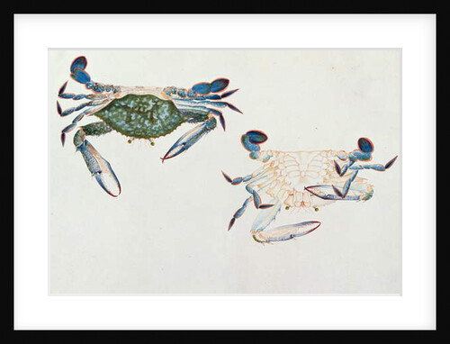 Ketam Rinyong by School Chinese