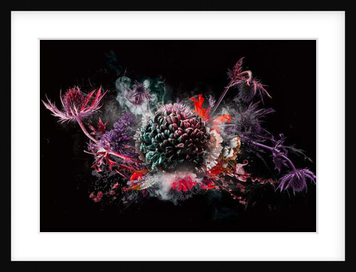 Bouquet X, 2016 by Teis Albers