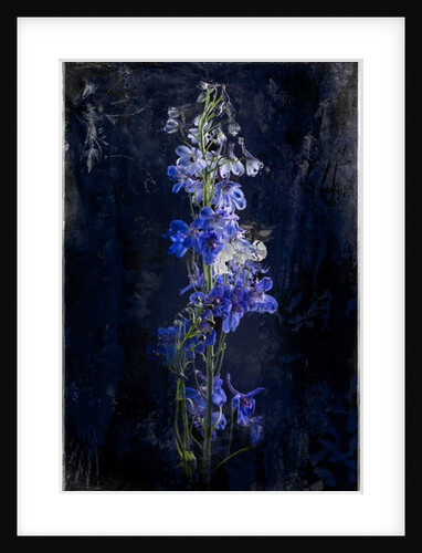 Gloaming, 2018 by Teis Albers