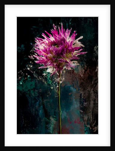 Sugarplum, 2018 by Teis Albers