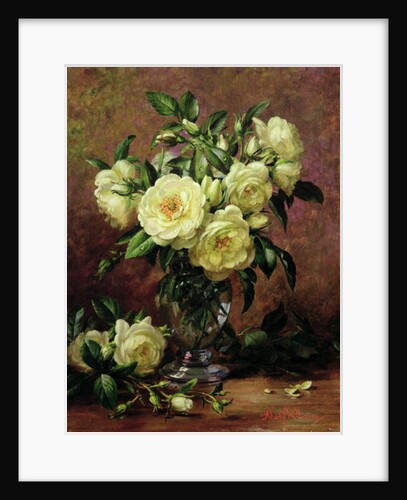 White Roses, A Gift from the Heart by Albert Williams