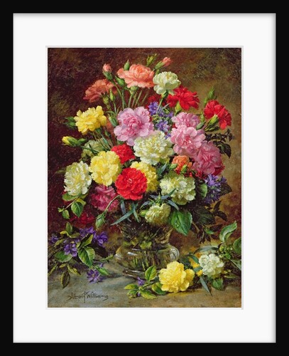 Carnations of Radiant Colours by Albert Williams