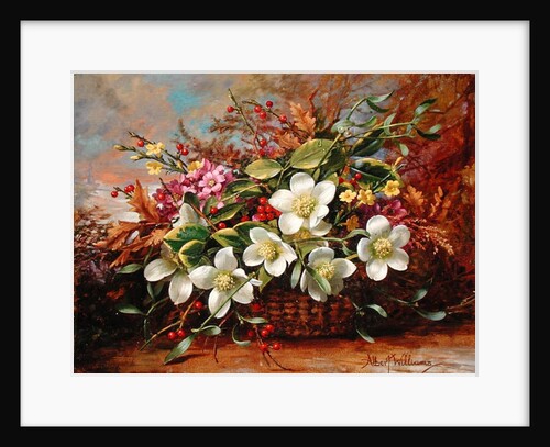Winter Flora in a Woodland Shade by Albert Williams
