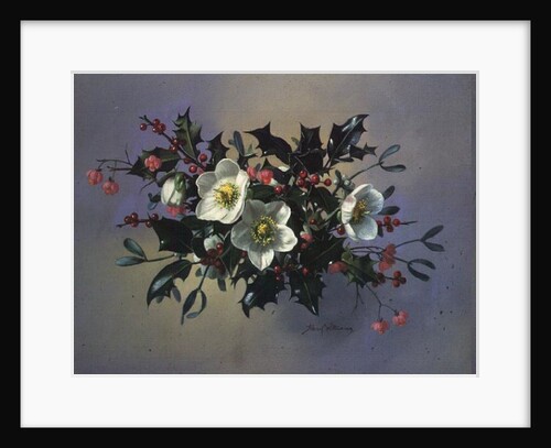 AB/89 Christmas roses by Albert Williams