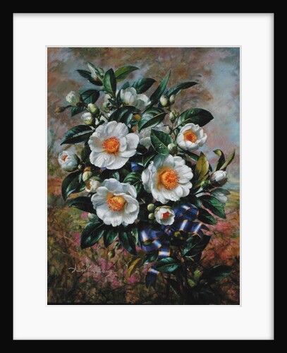 Coronation Camelia from the 'Golden Jubilee' series, 2002 by Albert Williams