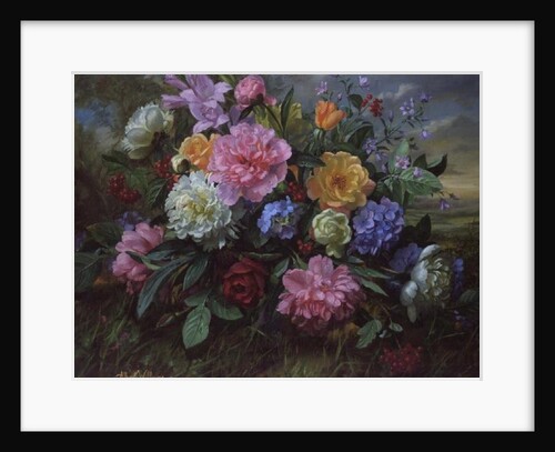 AB/18 Peonies and Hydrangea by Albert Williams