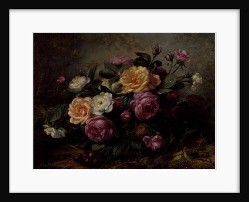 Full Blown Roses by Albert Williams