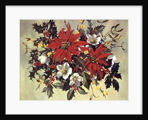 PB/274 Christmas Flowers by Albert Williams