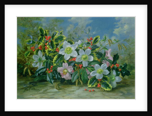 Christmas Roses and Holly by Albert Williams