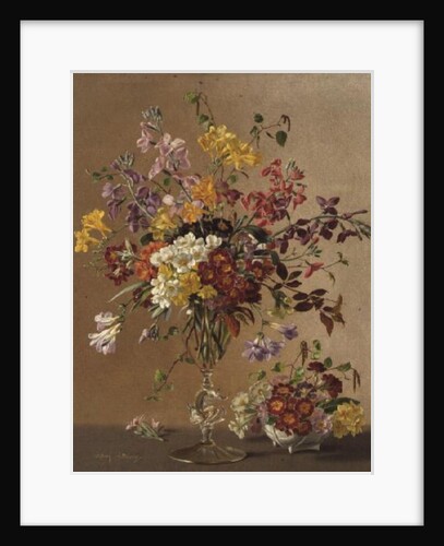 AW/243 Freesias and Primroses by Albert Williams