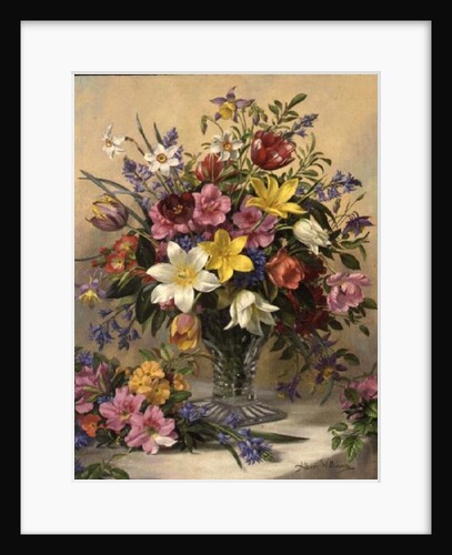 AB/295 Mid Spring Glory by Albert Williams