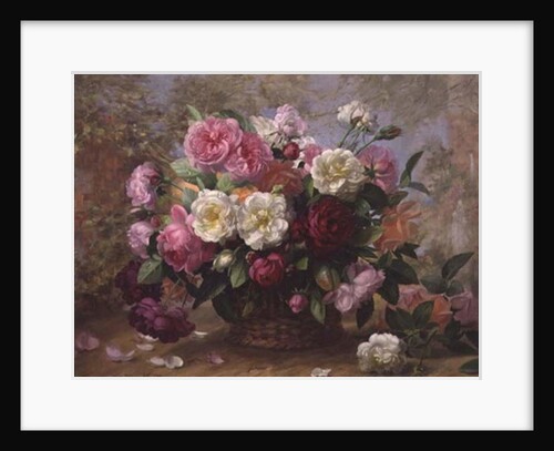 A/291 Heaven's Beauty in a Summer Rose by Albert Williams