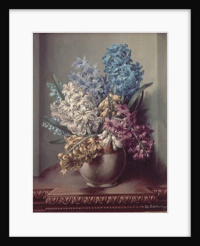 AB/313 Hyacinths in a Pottery Vase by Albert Williams