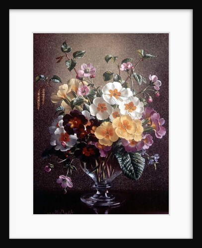 AB/314 Primulas in a Glass Vase by Albert Williams