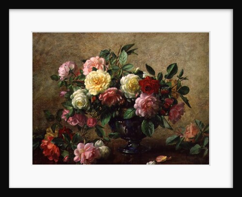 AB/110/2 All Beauty in a Summer Rose by Albert Williams