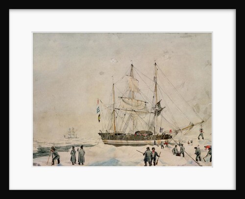 Walking in the Pack, Ross Expedition, 1842 by John Edward Davis