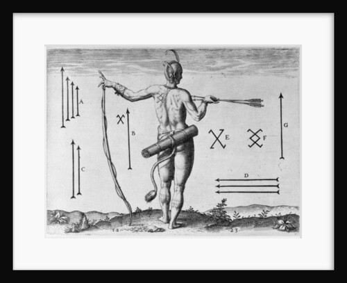 Indian Markings by John White