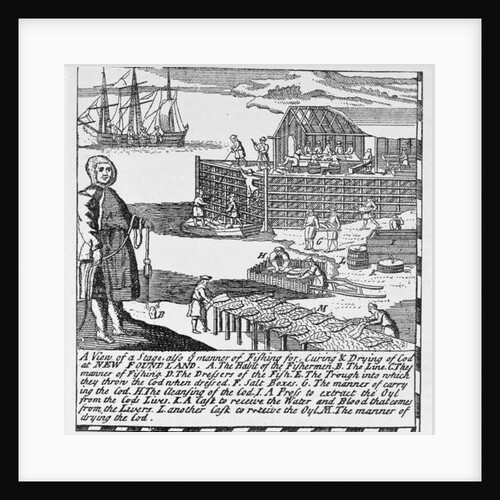 Early Fishing Stages by English School