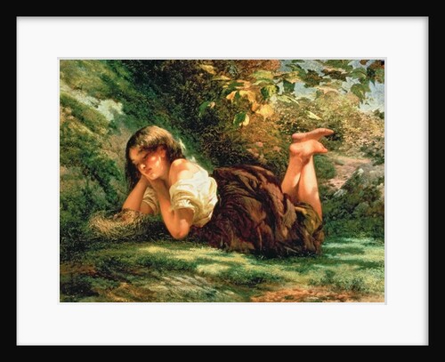 The Nest by Robert RSA Gavin