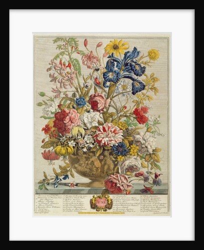 June by Pieter Casteels