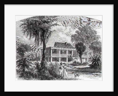 Planter's House on the Mississippi by American School