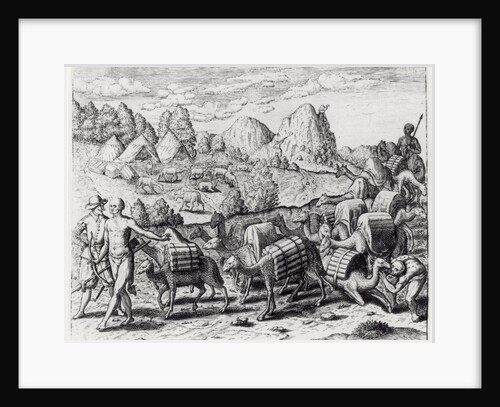 Pack Train of Llamas Laden with Silver from Potosi Mines of Peru, engraved by Theodore de Bry by Jacques Le Moyne