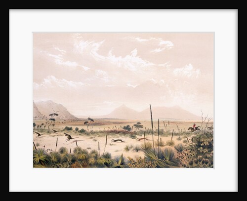 Kangaroo Hunt by George French Angas