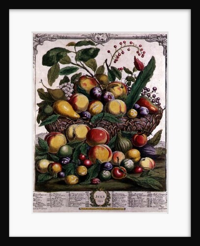 July by Pieter Casteels (after)