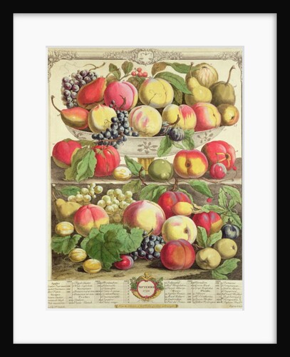 September by Pieter Casteels (after)