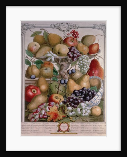 November by Pieter (after) Casteels