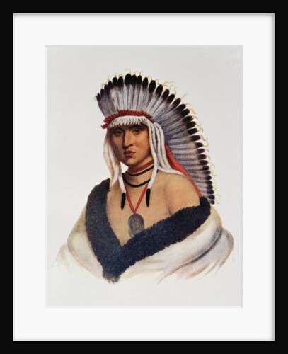 Petalesharro, a Pawnee Brave by American School