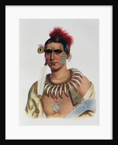Ma-Has-Kah or 'White Cloud', an Iowa Chief by American School