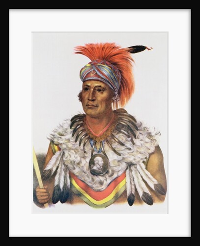 Wapella or the Prince Chief of the Foxes, 1837 by Charles Bird King