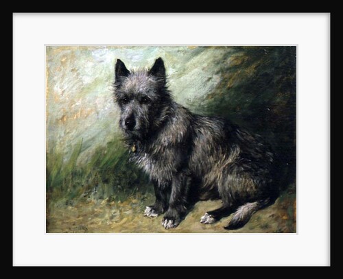 Tatters by John Emms