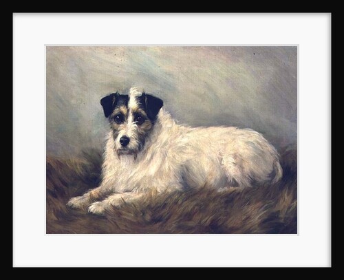 Terrier by Mabel Hastings