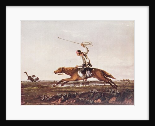 Balling Ostriches by American School