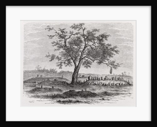 Cemetery and sacred tree in Mbinda by English School