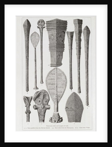 Polynesian clubs and insignia of rank by English School