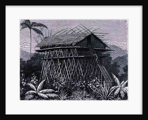 House in the Arfak village of Memiwa, New Guinea by French School