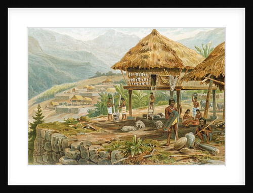 Igorrote farm in Luzon, Philippines by Hans Meyer