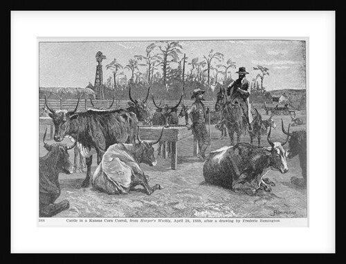 Cattle in a Kansas Corn Corral by Frederic Remington
