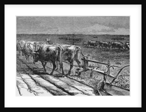 Breaking the Prairie by (after) American School