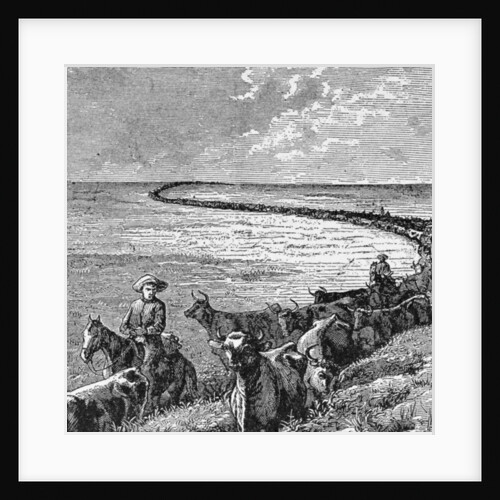 A Trail in the Great Plains by American School