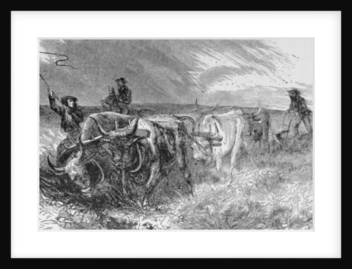 The Prairie Sod Plow by (after) American School